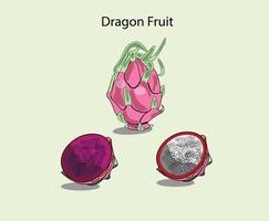 un ensemble d'illustrations de fruits du dragon peut être utilisé comme fruit du dragon de dessin animé, icône ou en merch. vecteur