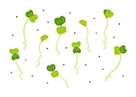 microgreens de radis dessinés à la main vecteur