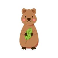 bébé quokka avec une feuille verte. animal marsupial australien dessiné à la main dans un style dessin animé. illustration vectorielle vecteur