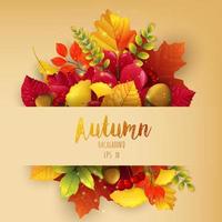 feuilles d'automne cadre background.vector vecteur