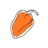 contour de poivre bulgare sur fond blanc. icône. illustration vectorielle. vecteur