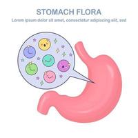 flore de l'estomac. système digestif, tube avec de bonnes bactéries mignonnes, virus, micro-organismes, probiotiques isolés sur fond blanc. organes humains internes. concept médical, biologique. conception plate de vecteur