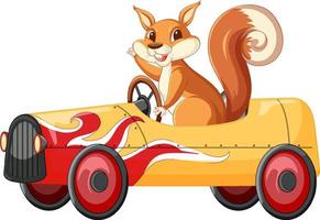un écureuil conduisant une voiture sur un fond blanc vecteur