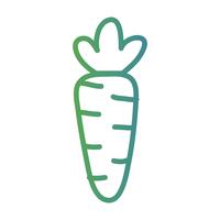 ligne saine nourriture de légumes carotte vecteur