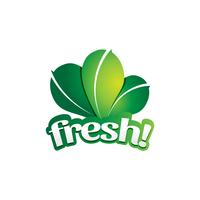 Logo de légumes à feuilles vertes fraîches vecteur