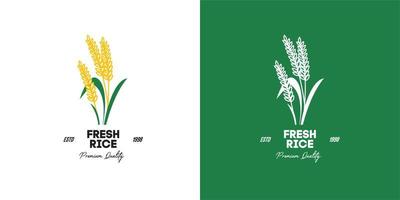 illustration graphique vectoriel de riz biologique premium frais de rizière biologique culture asiatique bon pour le logo vintage de semences de riz sur l'épicerie du marché du magasin de détail de l'agriculteur