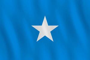 drapeau de la somalie avec effet ondulant, proportion officielle. vecteur