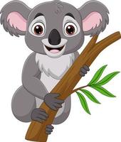 koala de dessin animé sur une branche d'arbre vecteur