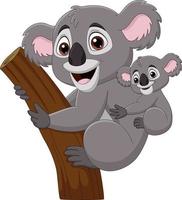 dessin animé mère koala et bébé sur une branche d'arbre vecteur