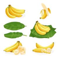 ensemble de grappes de bananes fraîches, simples, épluchées, coupées en tranches et illustration de feuilles isolées sur fond blanc vecteur