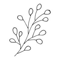 branche de vecteur dessiné à la main. doodle aux herbes isolé sur fond blanc. illustration botanique pour carte, impression, web, design, décor, logo.