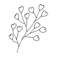 branche de vecteur dessiné à la main. doodle aux herbes isolé sur fond blanc. illustration botanique pour carte, impression, web, design, décor, logo.
