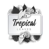 fond de feuilles d'été tropical avec des plantes de la jungle vecteur