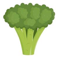 brocoli vert frais. illustration vectorielle plane. la nourriture végétarienne vecteur