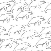 modèle sans couture de dauphins, contour des animaux marins sur fond blanc vecteur