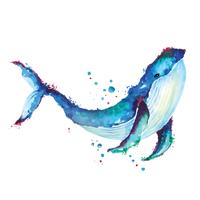 Dessin à l&#39;aquarelle de baleine bleue vecteur