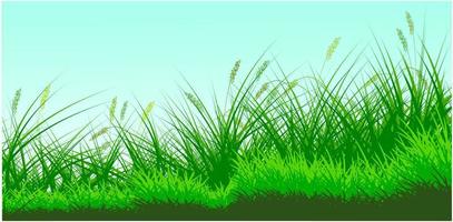 vecteur de fond d'herbe de roseaux verts gratuit