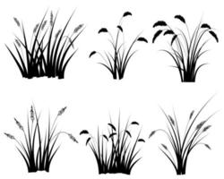 silhouette de roseau noir, ensemble d'herbe de roseaux isolé vecteur