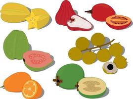 illustration vectorielle de collection de fruits sucrés tropicaux exotiques vecteur