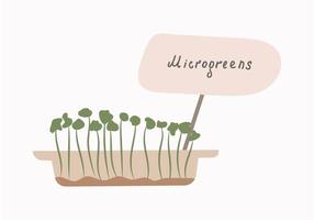 micro-verts . le concept d'une alimentation saine. cultiver des superaliments à la maison. illustration plate de vecteur. vecteur