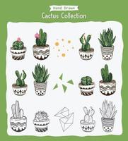 collection de vecteur de plante de cactus avec style de dessin à la main