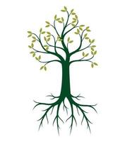 arbre vert avec des racines. illustration vectorielle. vecteur