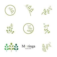 conception de vecteur d'illustration de logo de feuille de moringa