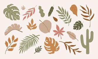 ensemble coloré moderne de feuilles tropicales abstraites. illustration vectorielle à la mode contemporaine botanique.