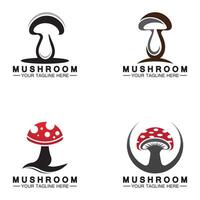 modèle de conception de vecteur de logo champignon