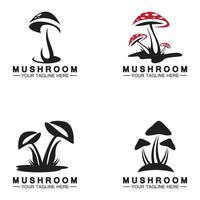 modèle de conception de vecteur de logo champignon