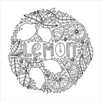 sertie de citrons, de fleurs et de brindilles de doodle. illustration vectorielle dessinés à la main. vecteur