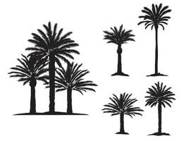 dattier, palmiers, silhouette, vecteur