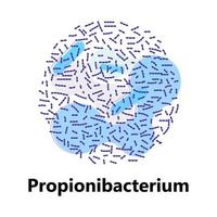 bactéries probiotiques. lactobacillus, logo bulgaricus avec texte. des symboles amorphes pour les produits laitiers sont représentés tels que le yogourt, l'acidophilus. lactococcus, propionibacterium sont représentés. vecteur