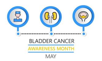 le mois de sensibilisation au cancer de la vessie est célébré en mai. vecteur info-graphique de pyélonéphrite, maladies. les reins, la cystite, les icônes de la vessie sont affichés. néphropathie, insuffisance rénale, maladies