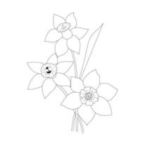 Contours de fleurs de narcisse isolés sur fond blanc vecteur