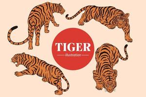 définir le visage de tigre pose sauvage illustration de dessin animé isolé vecteur