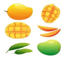 ensemble de fruits de mangue entiers, demi et tranches cubiques illustration isolé sur fond blanc