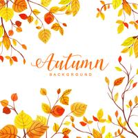 Belle aquarelle automne feuilles fond vecteur