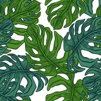 monstera laisse un motif sans couture. branche tropicale rétro dans le style de gravure. vecteur