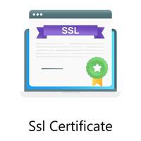 certificat ssl, vecteur modifiable de réalisation web