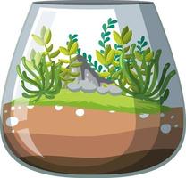 jolis terrariums en verre avec plantes grasses sur fond blanc vecteur