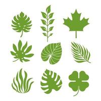 modèle vectoriel de silhouettes de feuilles tropicales