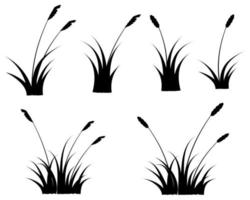 ensemble de silhouette d'herbe de roseaux noirs. quenouille groupe isolé sur fond blanc gratuit