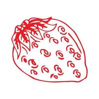élément unique de tranche de fraise dans l'ensemble d'été doodle. illustration vectorielle dessinée à la main pour cartes de voeux, affiches, autocollants et design saisonnier. vecteur