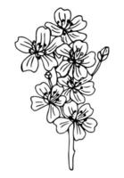 style de contour de fleur de cerisier. beau bouquet de sakura. illustration vectorielle. vecteur