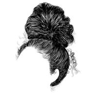 coiffure chignon mignon femme dessinée à la main. vecteur