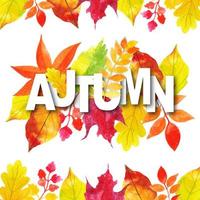 Typographie automne aquarelle avec cadre de feuilles vecteur