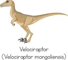 wordcard pour vélociraptor debout vecteur