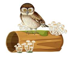 hibou debout sur une souche en style cartoon vecteur