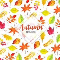 Motif feuilles d&#39;automne vecteur